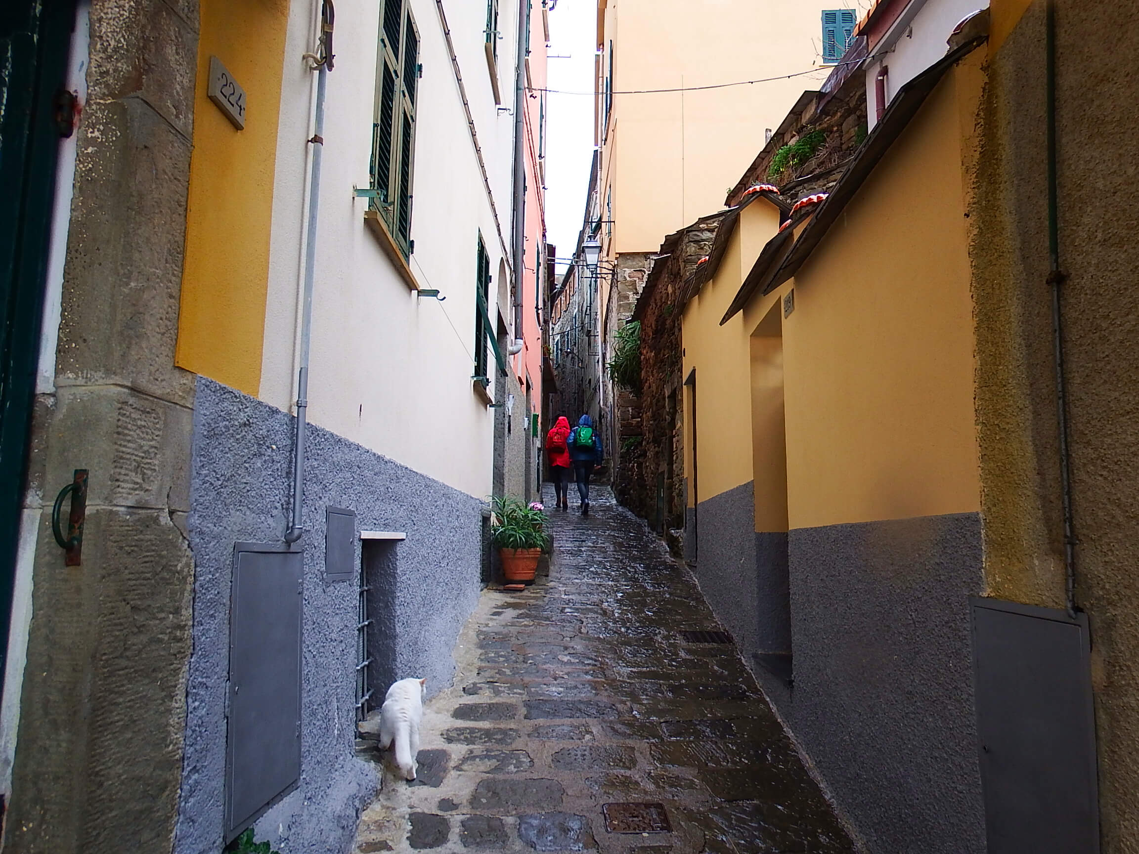 Cinque Terre